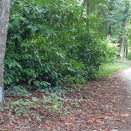 Gite Le Haut Perche, 4 Personnes Saint-Gervais-la-Forêt Eksteriør bilde